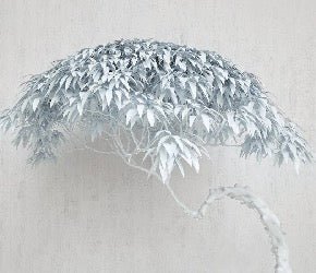 Papier peint panoramique  Arbre Nordic Style