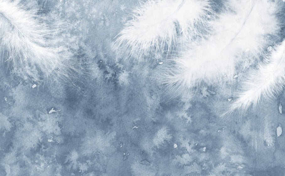 Papier peint Plume Blanche, XXL, tendance