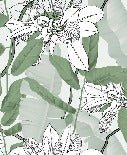 Papier peint salle de bain feuillage nature vert fleur NB, XXL, tendance