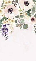 Papier peint floral provence
