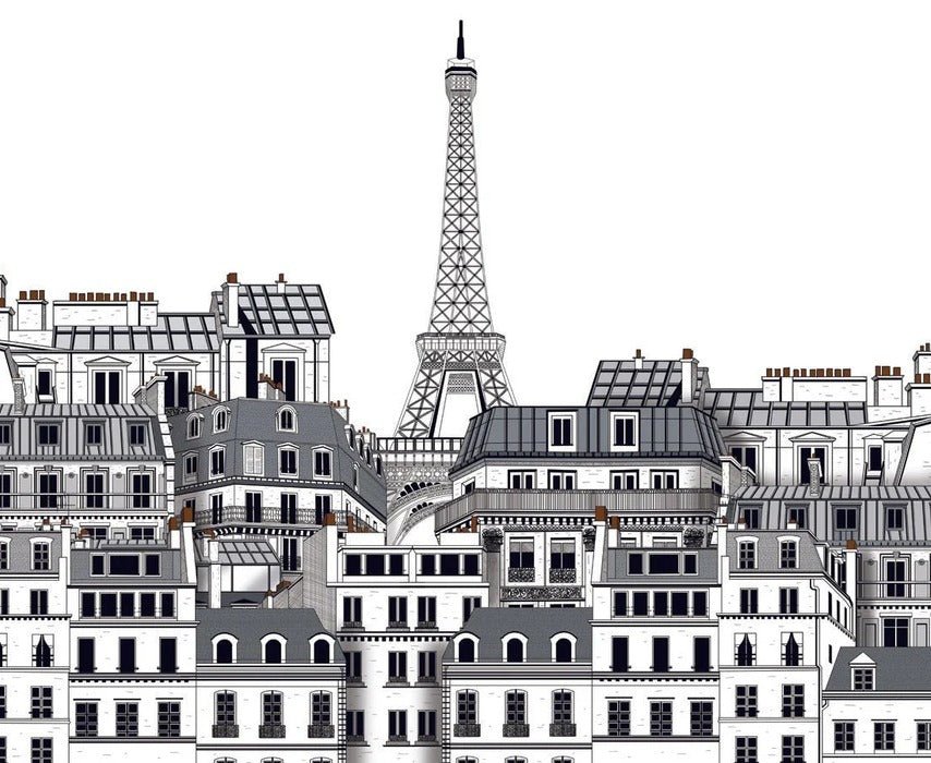 Papier peint Français les toits Parisiens