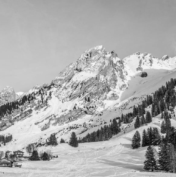 Papier peint panoramique chalet alpage