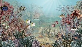 Life under the sea wallpaper