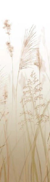 Papier peint fleur des champs de blé, XXL, tendance