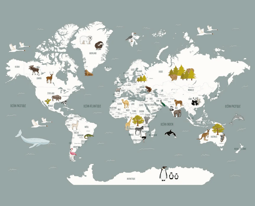 Grey Children's French World Map Wallpaper - H260cm x L322cm - Pre-glued Matter