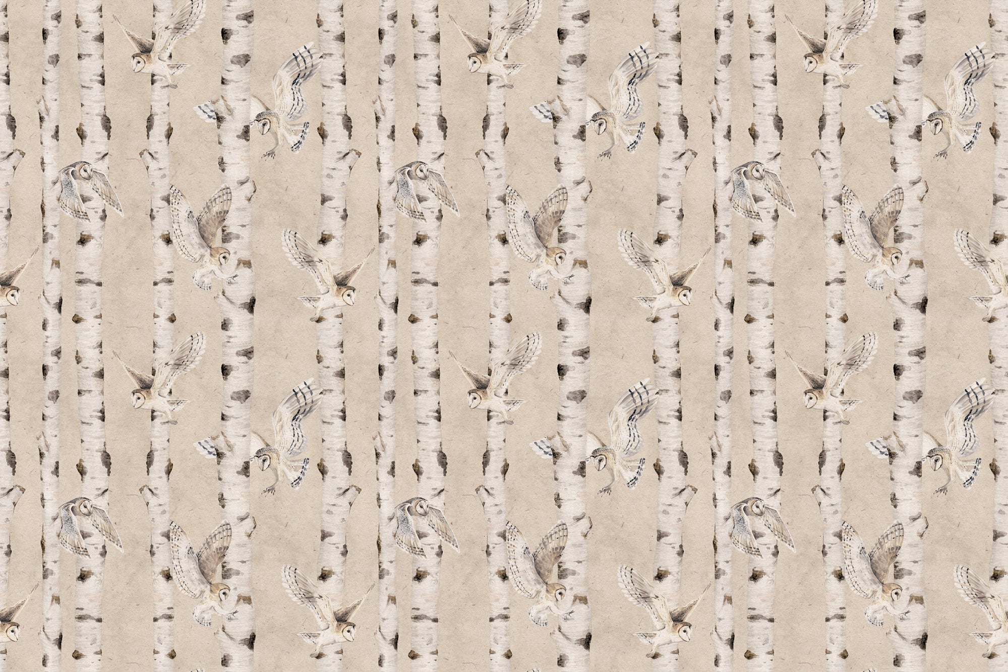 Papier peint enfant - chouettes & bouleaux