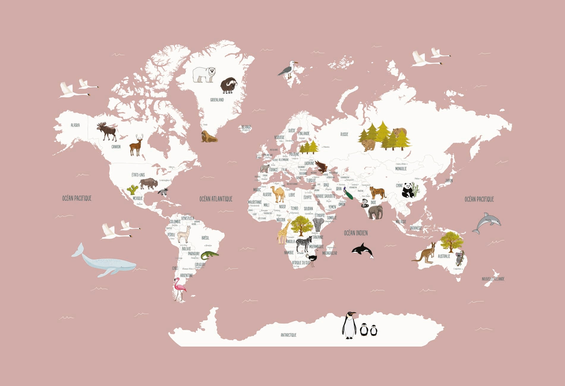 Children's French world map wallpaper old pink