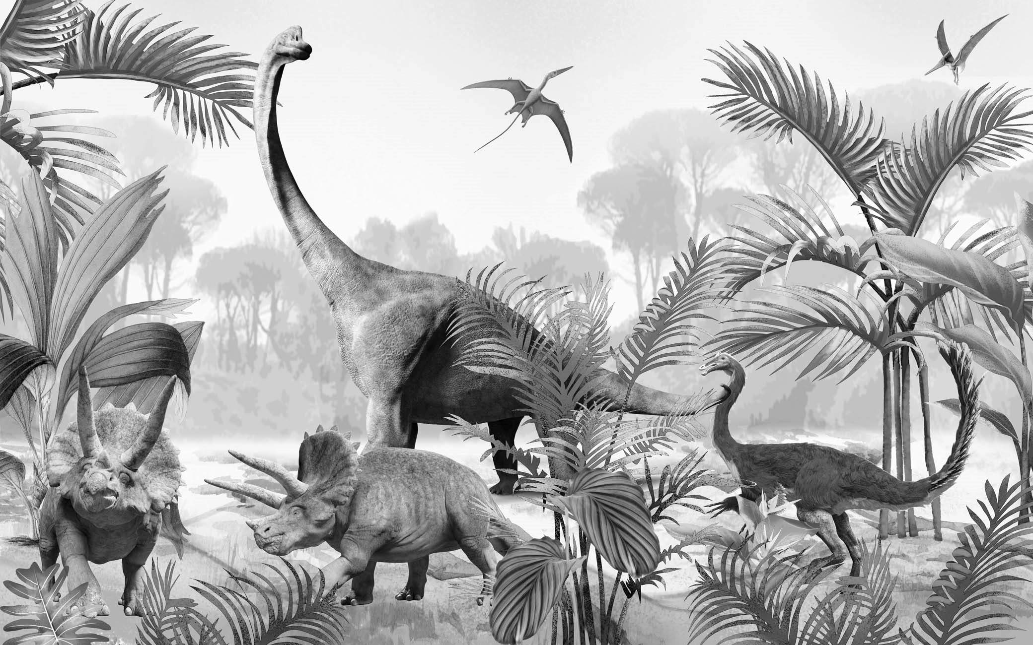 Papier peint chambre enfant dinosaures jurassik