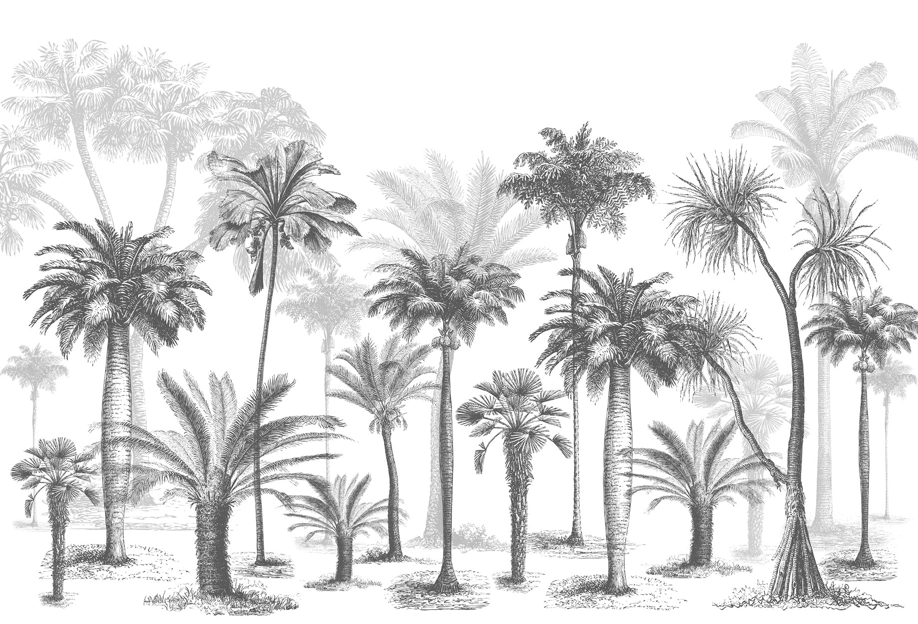 Papier peint Jungle Black & White, XXL, tendance