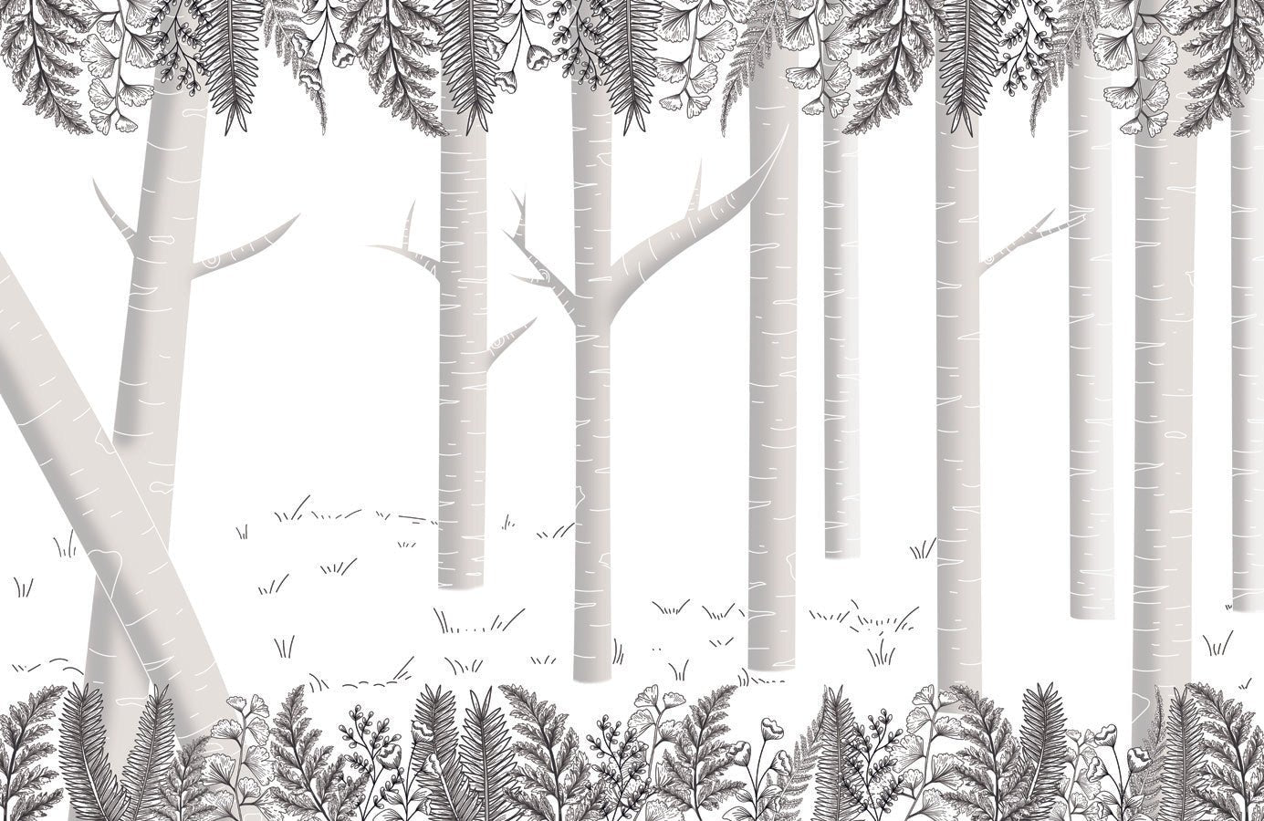 Papier peint forêt bouleau gris, mural concept, tendance