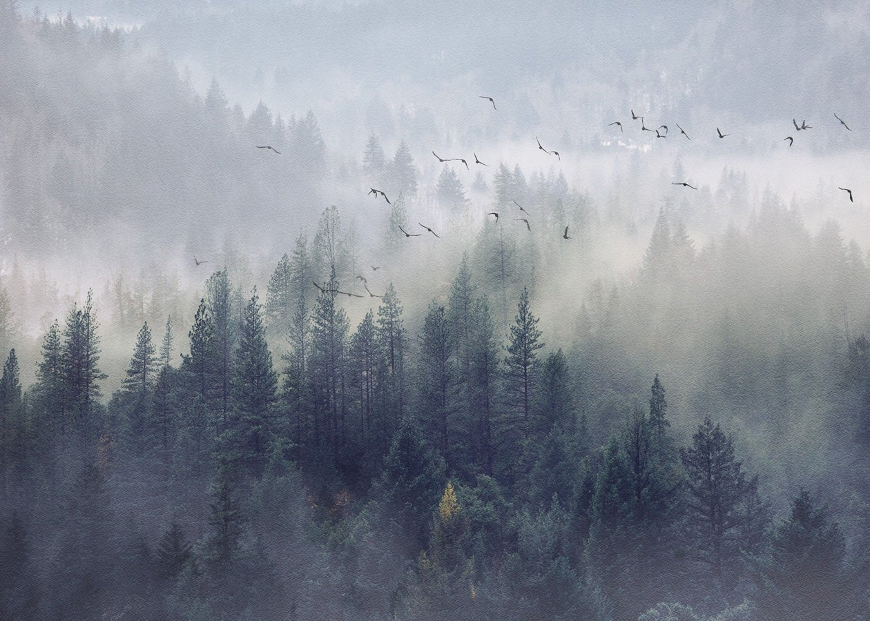 Papier peint bistrot forêt de Chine, mural concept, tendance