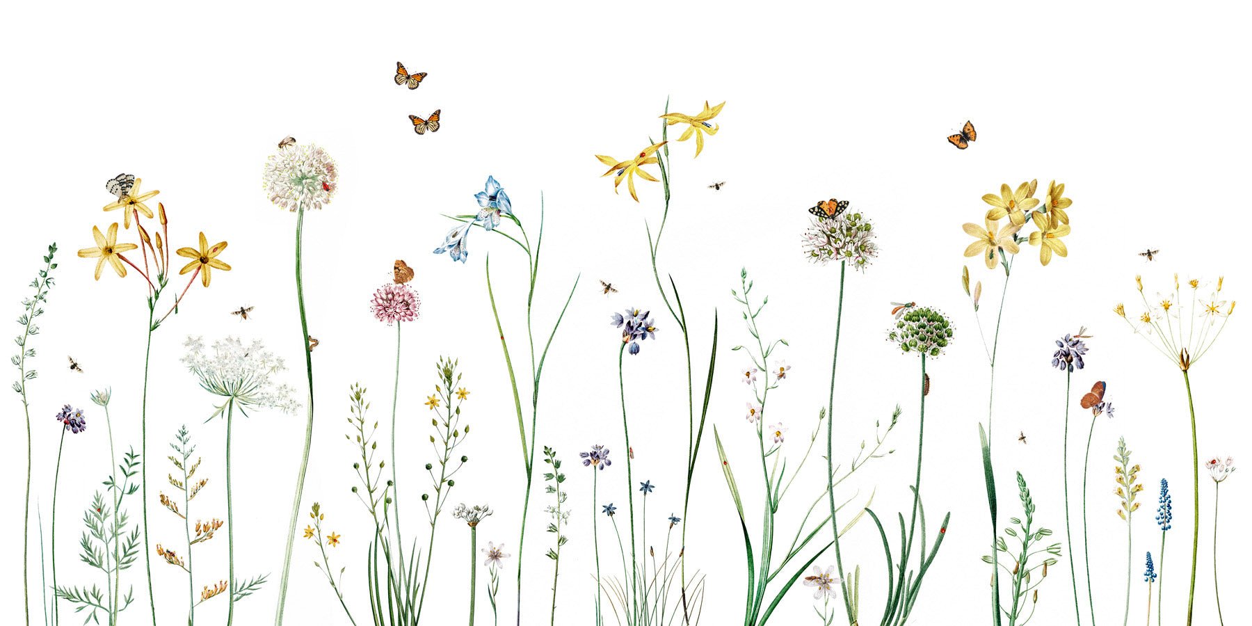 Papier peint herbes enchantées, mural concept, tendance