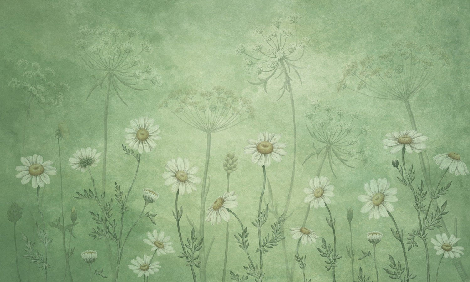 Papier peint marguerites sauvages, mural concept, tendance