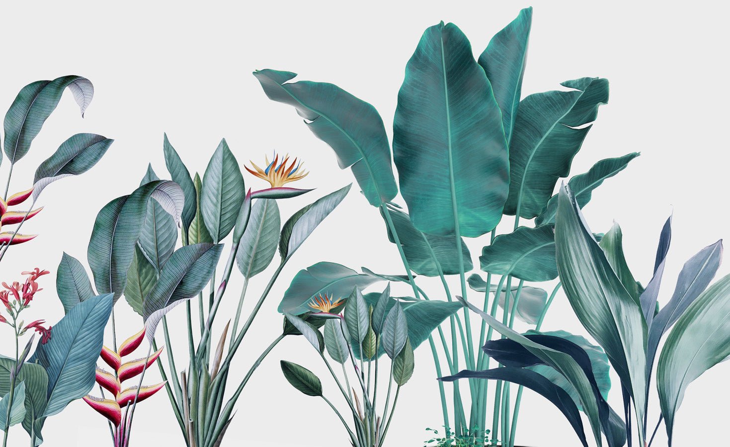 Papier peint panoramique tropical bananier, mural concept, tendance