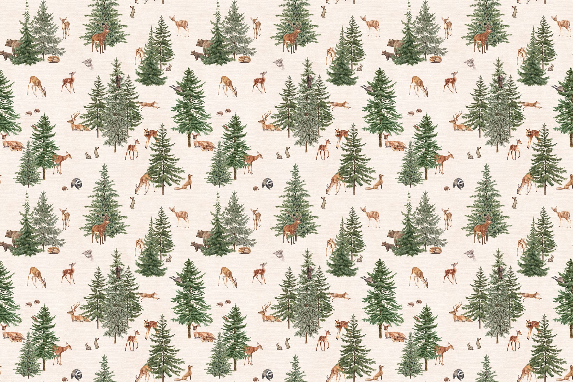 Papier peint panoramique la forêt des grands sapins