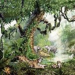 Children's wallpaper secret jungle