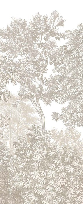 Papier peint paysage forêt gravure beige