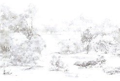 Papier peint forêt de pin aquarelle, mural concept, tendance