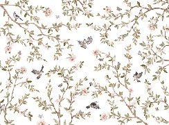Papier peint oiseau chambre enfant