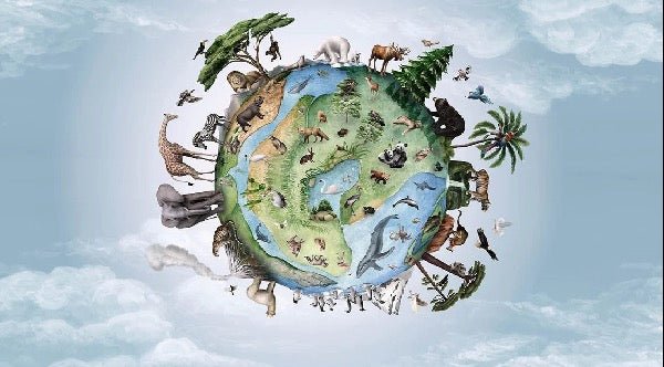 Papier peint enfant planète animaux, XXL, tendance