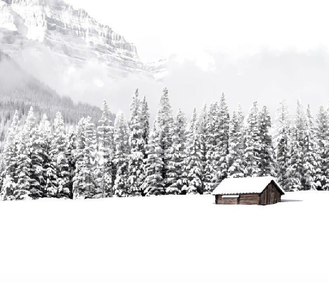 Papier peint panoramique chalet en montagne, XXL, tendance