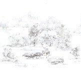 Papier peint forêt de pin aquarelle, XXL, tendance