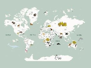Papier peint Carte du monde en Francais enfant vert