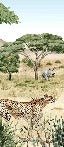 Papier peint enfant savane secrète