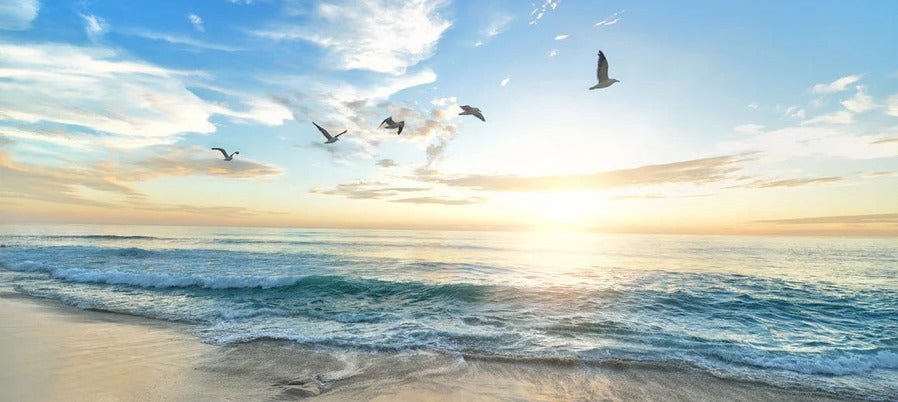 Papier peint Plage Paradisiaque, XXL, tendance