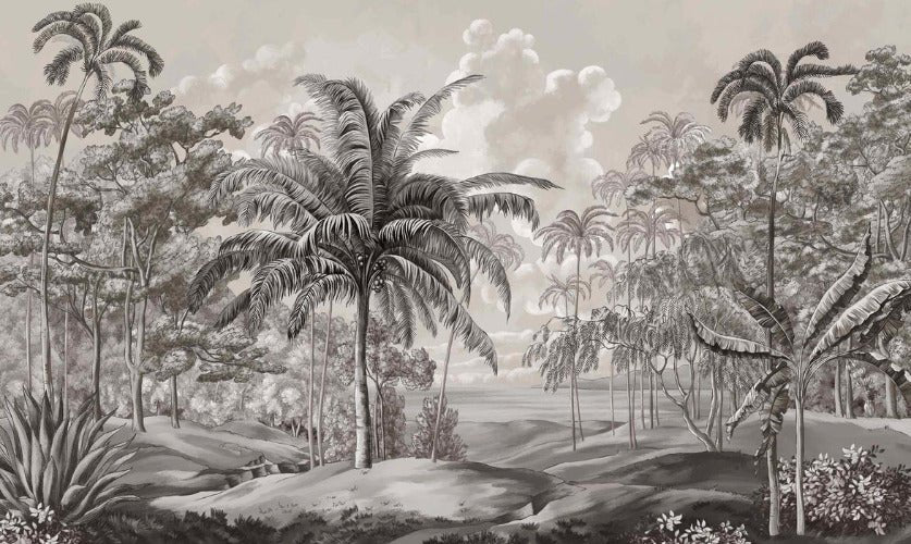 Papier peint paysage Célèbes noir et blanc