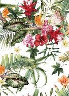 Papier peint tropical & Fleurs colorées, XXL, tendance