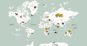 Papier peint Carte du monde en Francais enfant vert, XXL, tendance