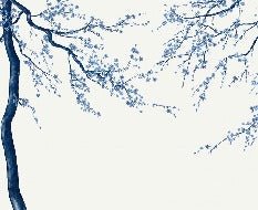 Papier peint panoramique fleur Sakura blanc
