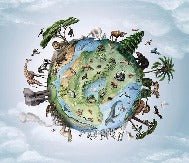 Papier peint enfant planète animaux