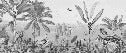 Papier peint mirage tropical noir et blanc