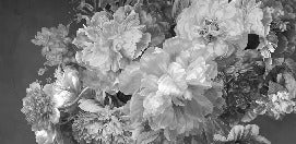 Papier peint fleur pivoine noir et blanc