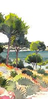 Panoramic summer air wallpaper