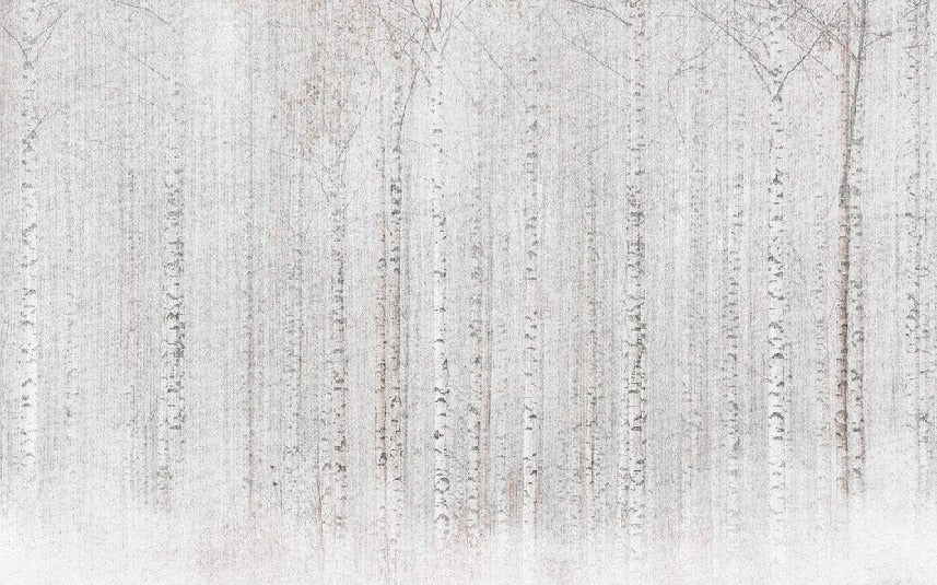 Papier peint forêt de bouleaux enveloppante