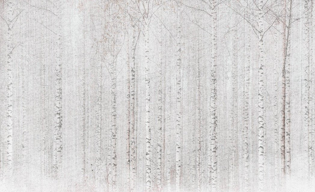 Papier peint forêt de bouleaux enveloppante