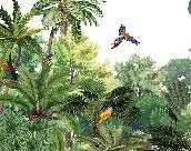 Papier peint enfant perroquets exotiques