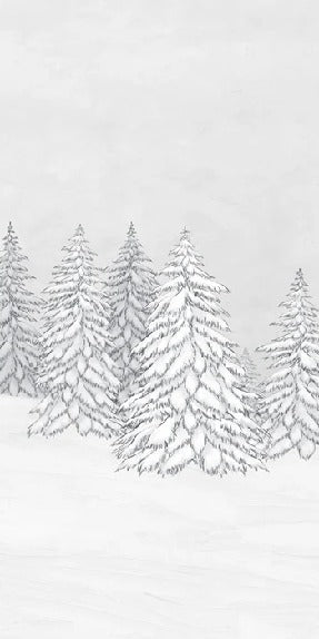 Papier peint montagne télécabine noir & blanc
