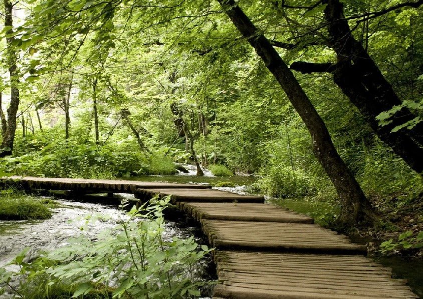 Papier peint bistrot trompe l'œil chemin forestier, XXL, tendance