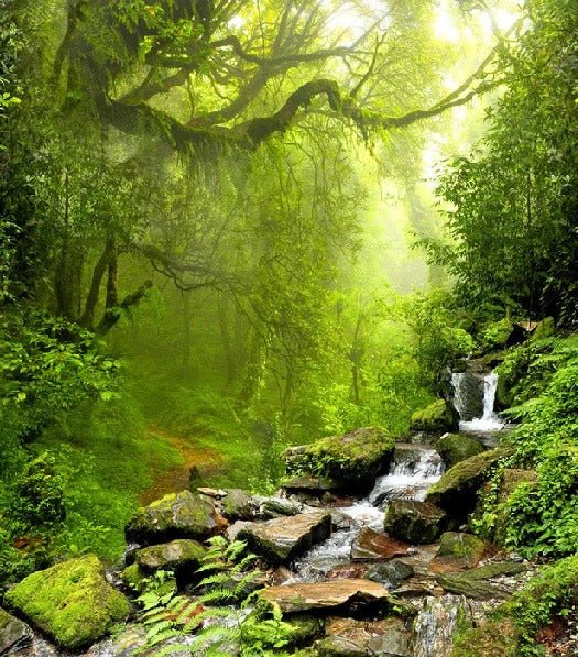 Papier peint Cascade & Forêt, XXL, tendance