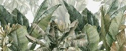 Panoramic green banana wallpaper