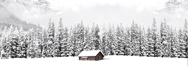 Papier peint panoramique chalet en montagne, XXL, tendance