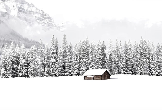 Papier peint panoramique chalet en montagne, XXL, tendance