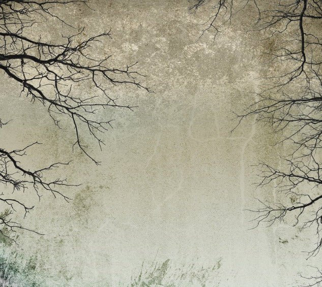 Papier peint Forêt Enchantée, XXL, tendance