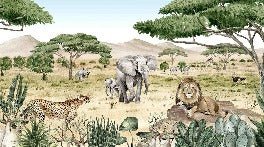 Papier peint enfant savane secrète