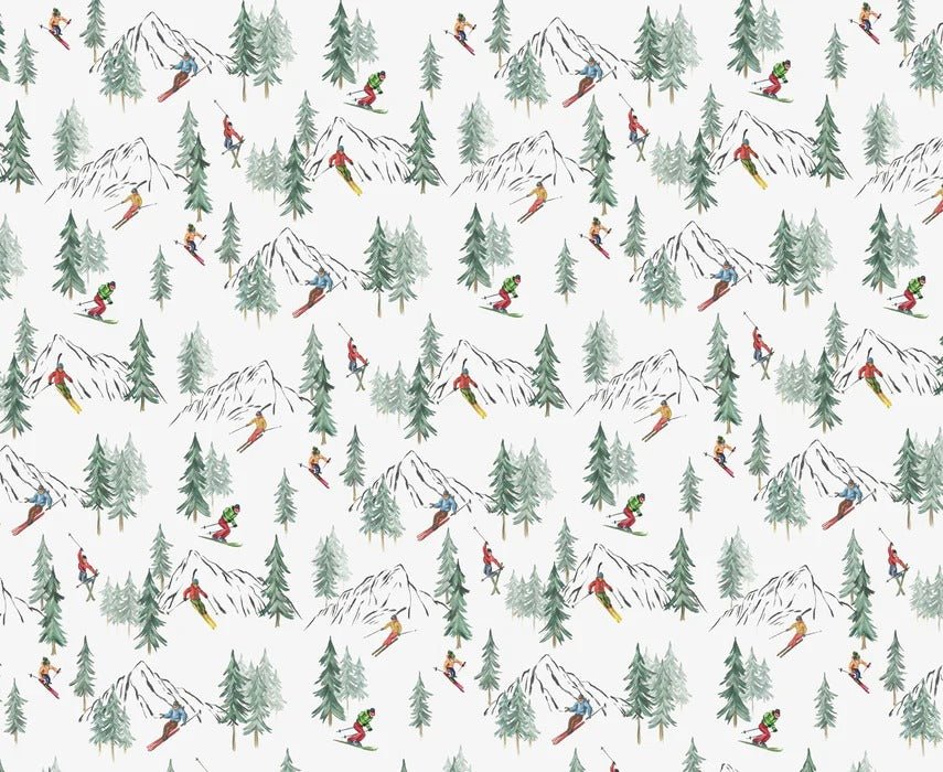 Papier peint Alpine glisse