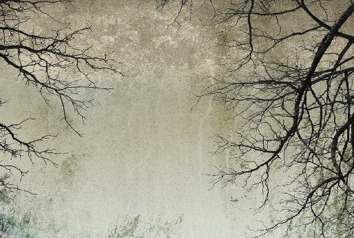 Papier peint Forêt Enchantée, XXL, tendance